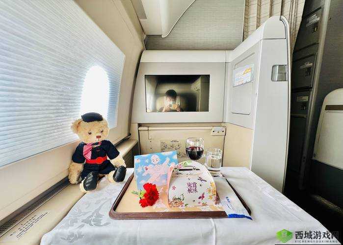 头等舱客服的特殊待遇 2：畅享尊荣之旅