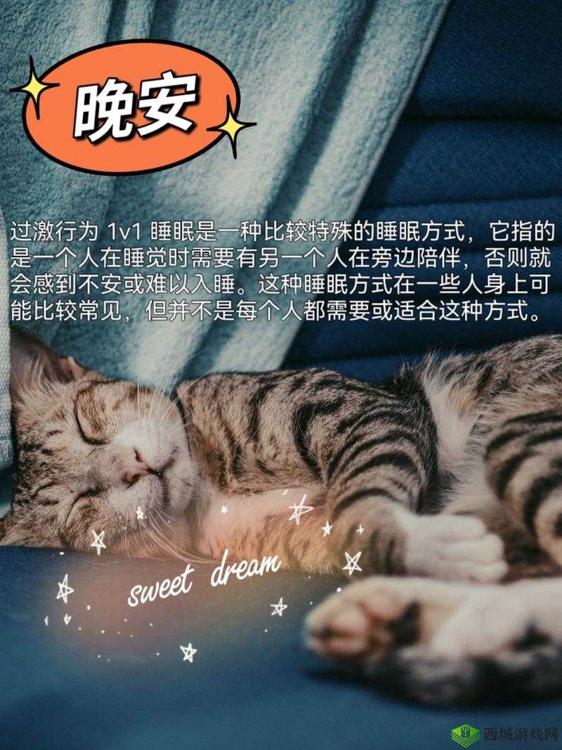 过激行为 1v1 睡眠对我很重要吗：到底有多重要