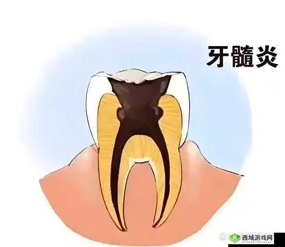 2023 钙 Ggy 为啥没有了：探究背后的原因